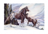 1024 Medicine Horse  